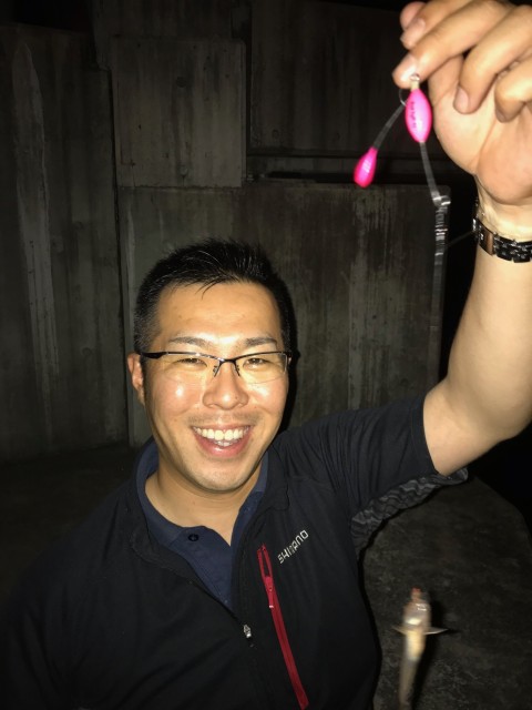 藤村チーフハゼ