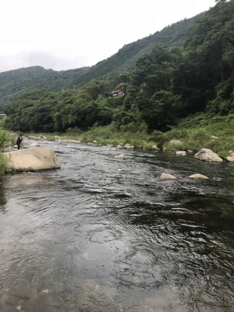 26f0d734-6464-4ada-81e8-91539bfabc82