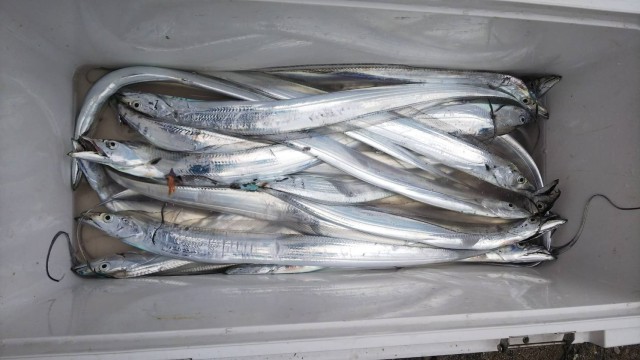 3252a3ba-3f45-4b37-8390-b66ff6da2433