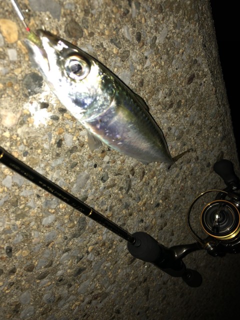 56304d9d-4b15-41db-897c-1b8dba71562a