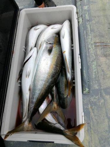 56_28902_20180911164006