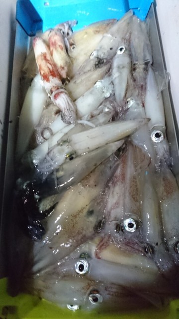 76c02762-72c8-4247-bebb-c6df14f9cb88