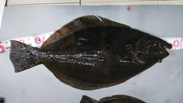 854cd289-5fbb-4b2a-a330-5b6c9a3f7426