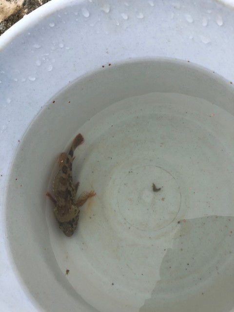 9.15ヨットハーバー1