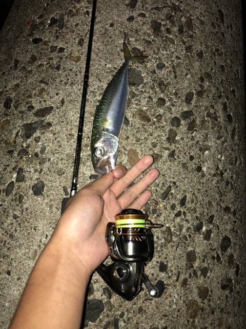 9f099cec-4204-43b2-93f0-d27bd42f466b