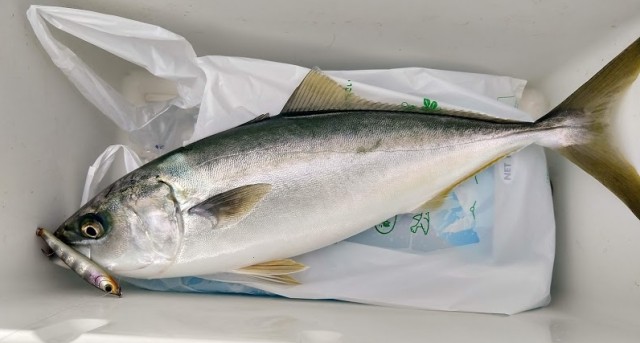 IMG_20180913_155041106_HDR