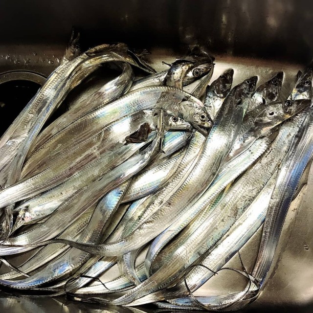 IMG_20180919_003805_357