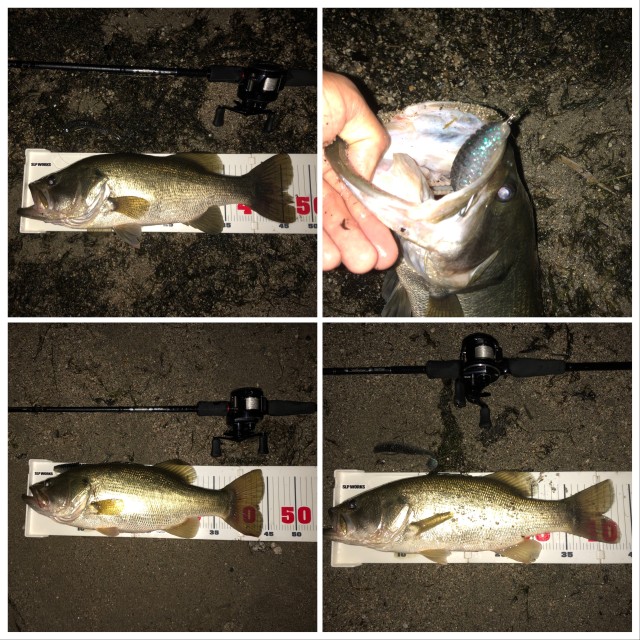 バス釣果!!