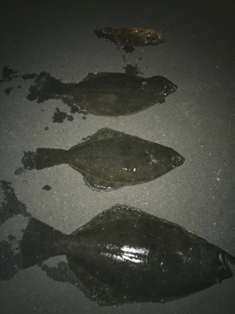 a232f63b-d3ec-471f-82cc-e3629fb8d5a6