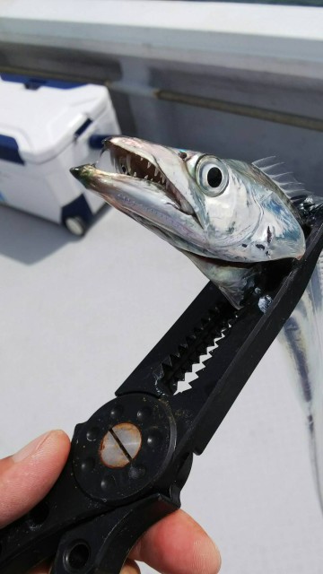 a3d78159-74ff-4512-aecd-8566a14aa7ec