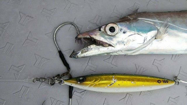 e40bc7d1-4f35-40f6-a002-2a439c1d1830