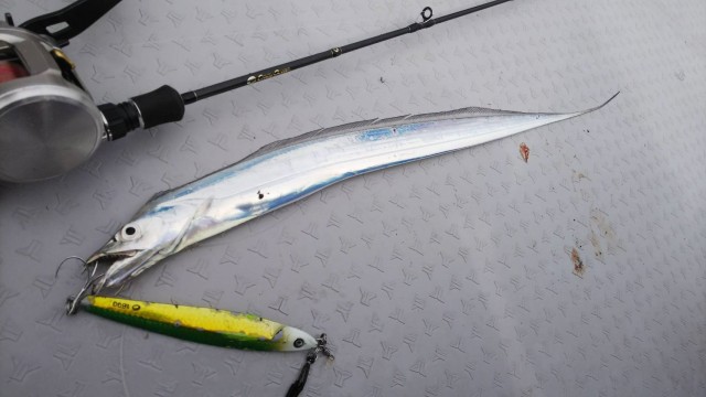 fc7021a4-da96-468b-82f0-aa69adaa2e55