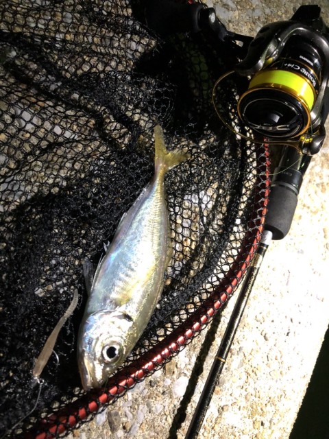 fd36fab6-d7b3-43b6-90a5-34b1a22b09e0