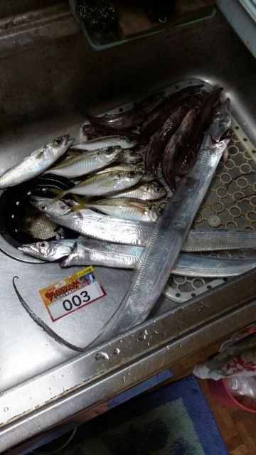 18b65913-1332-43f9-988e-f15c2af1bd30