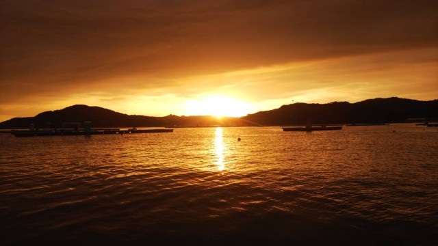 1955b588-bf6e-47e7-8419-f9bba799bc9e