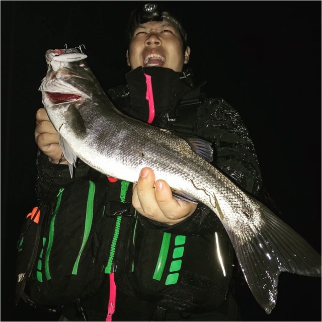 限定シーバスルアー！！