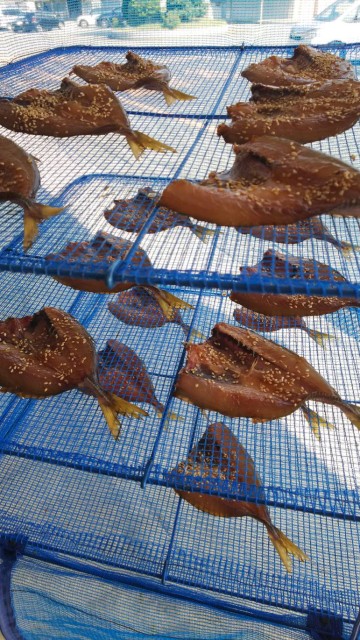 38529347-51b1-4638-b780-cb8df6021542