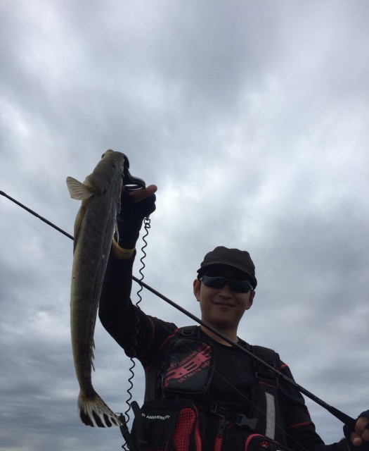 3b50b718-5dcc-45c2-8dd9-6e32b46ec412