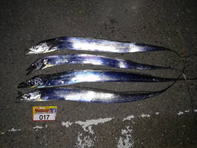 41e18284-6abf-4157-9f22-23d435c041e1