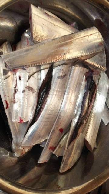 50c2c29d-17b7-4dbd-9a51-09cf0ed723d0