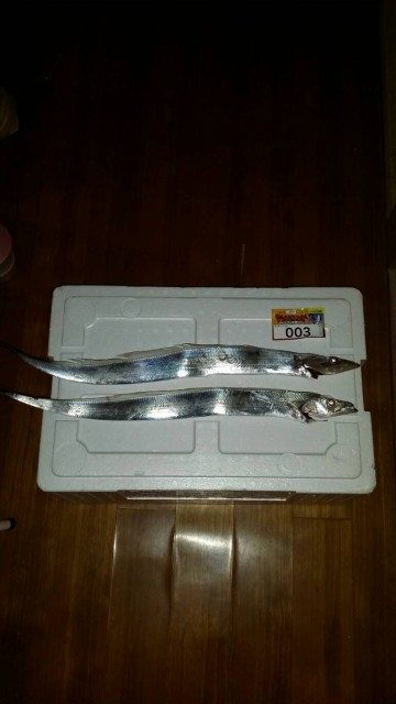 72e8e76c-70c3-49b4-91fa-f5e6bf7be6dc