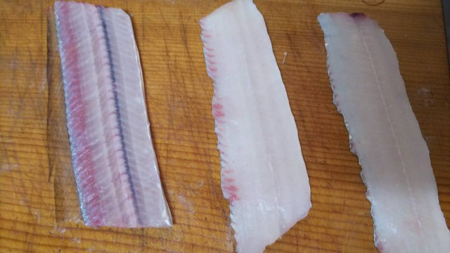 81ff0c9f-da8f-4dc5-83b8-29ca57cbbe13