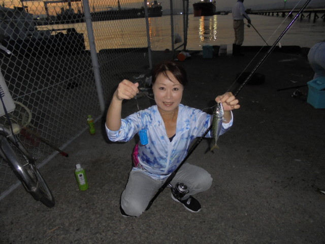 日本鋼管でサビキ釣り！