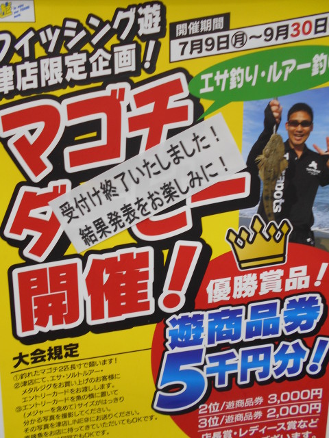 マゴチダービー受付け終了！栄光は誰の手に！？