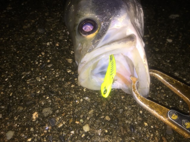 c66865ce-9220-4600-80b8-f4fb615544f9