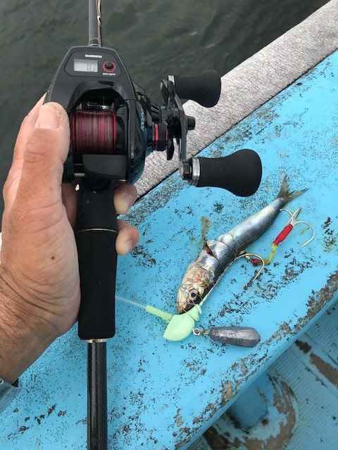 !cid_EFD21D45-7C01-4D2D-90D4-C45CBCA24CC5