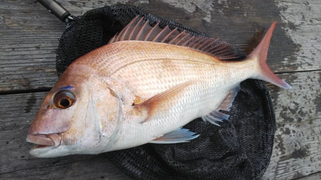 e40c237c-36f5-41b1-93db-850a7b4c54a1