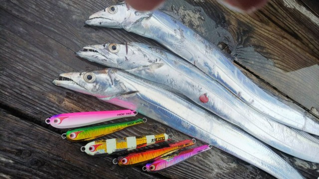 e557ed0a-2bcb-4512-9e2d-c65c4cf5401f