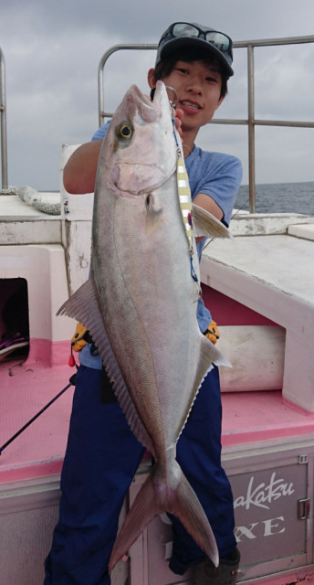 o0581108014282243802