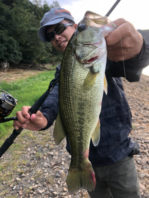 o0809108014283091250