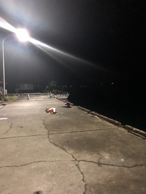 アジキャロスワンプ (2)