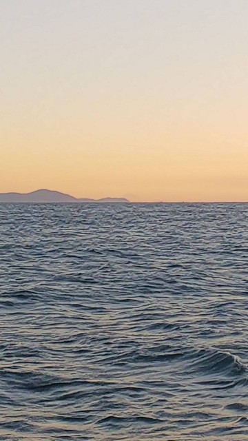 10db6ab7-cd2f-4213-8085-a92a40930f3c