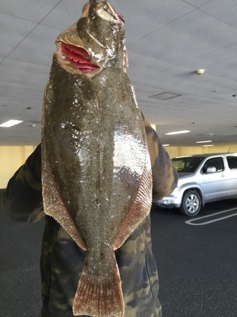 11.24大川ヒラメ