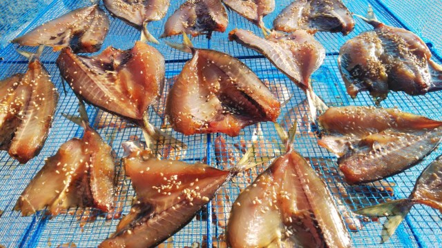 1d1cd7a6-60ff-46d1-8b65-b8695fa41b91