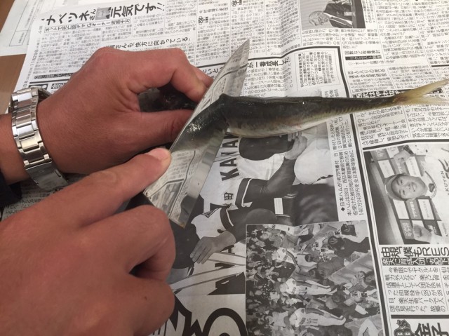 3b5d6032-a6fd-4588-8c4d-722d643720f8