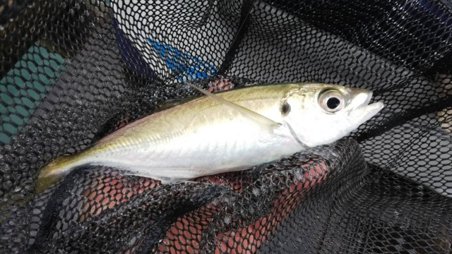 3e56e15d-b9e2-428e-b160-94720a01d259