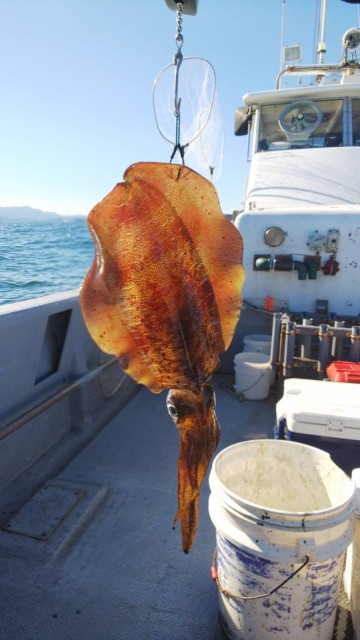 5154730f-68c2-48b5-9ecb-37a96a69ccb1