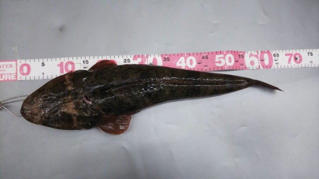 6ba0d62f-1848-4dfb-86aa-a07238b8d2b7