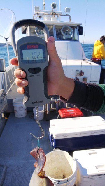 7e6ecd51-b514-400a-af0e-89f562524b71