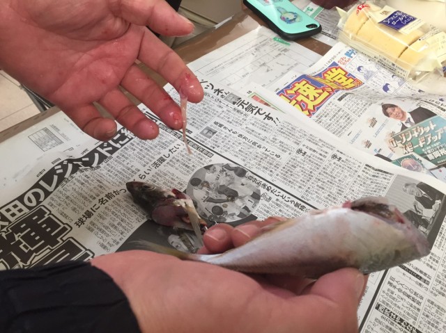 8823046e-ce88-4e22-8f99-b02dc29e47e5