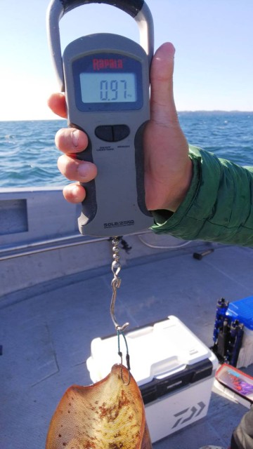 9e4d291b-1286-4921-9796-35c3f6b7bd86