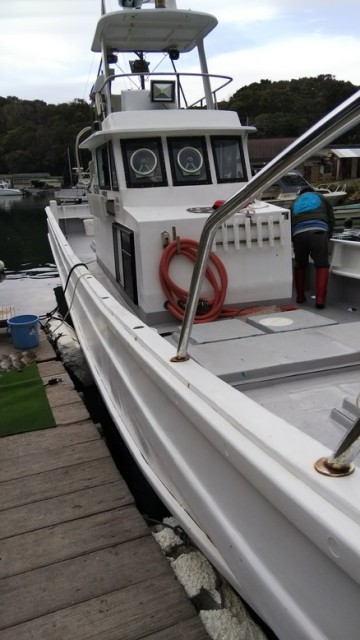 志摩沖カワハギ盛り上がってます！