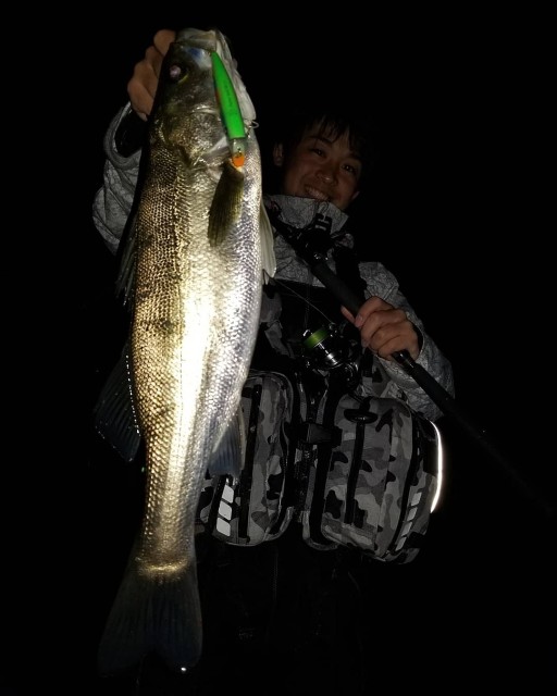 IMG_20181103_025844_625