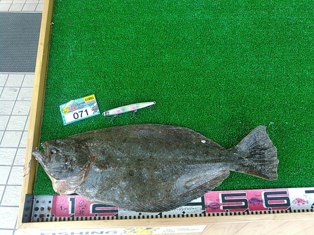 ダービー参加者釣果！！