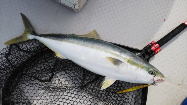 b1809a2e-8416-467b-9d3f-6f0a40aed042