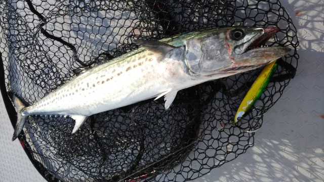 b3822167-f1c8-4ef1-b6a8-ba8c619373c5